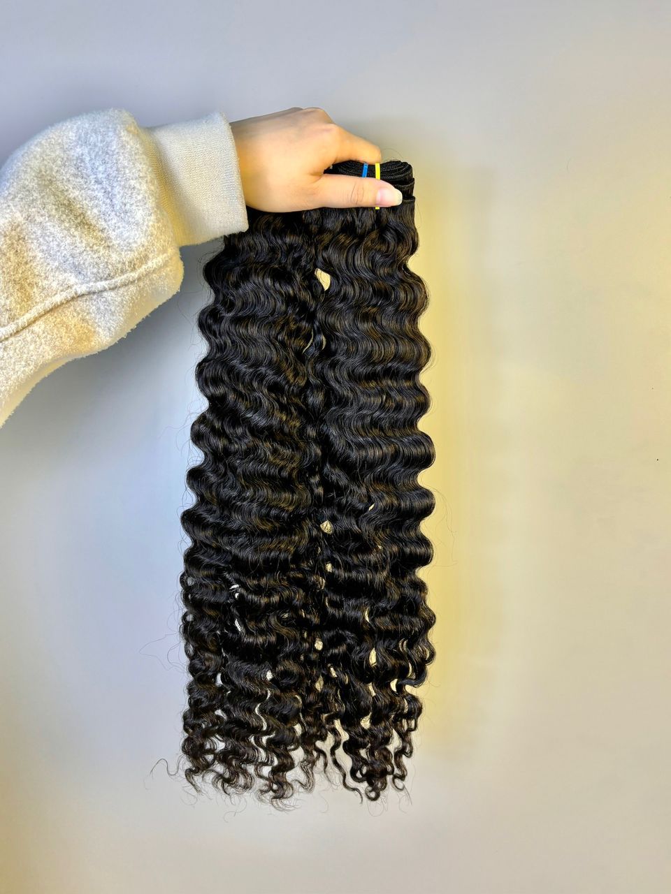 Burmese Curly