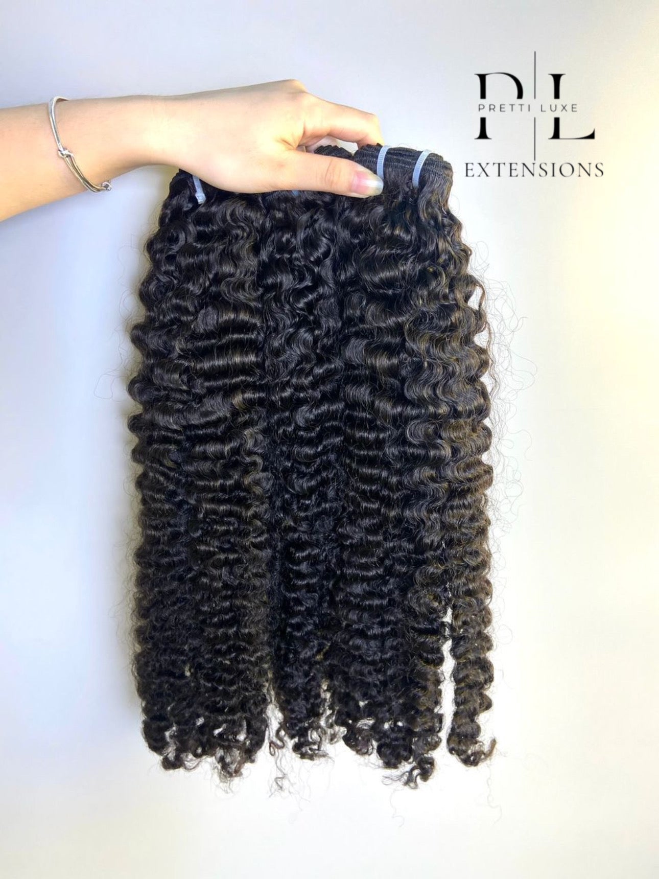 Burmese Curly
