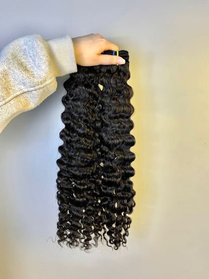 Burmese Curly