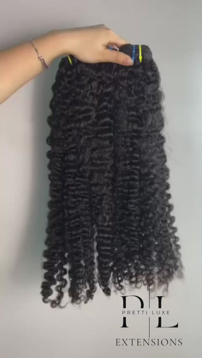 Burmese Curly